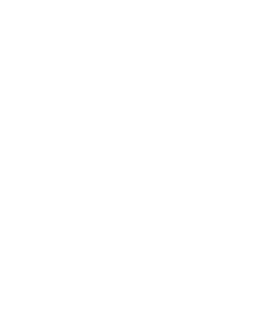 Speed Auto USA